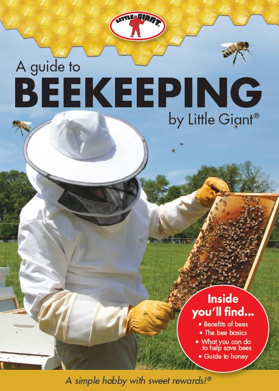 Beekeeper Photos, Download The BEST Free Beekeeper Stock Photos & HD Images
