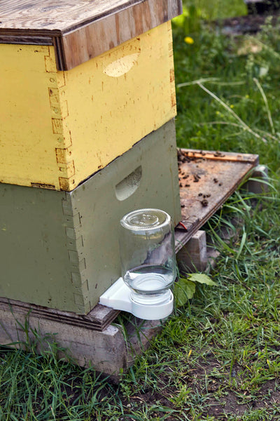 Beekeeping Feeder Kit | Miller Manufacturing Company