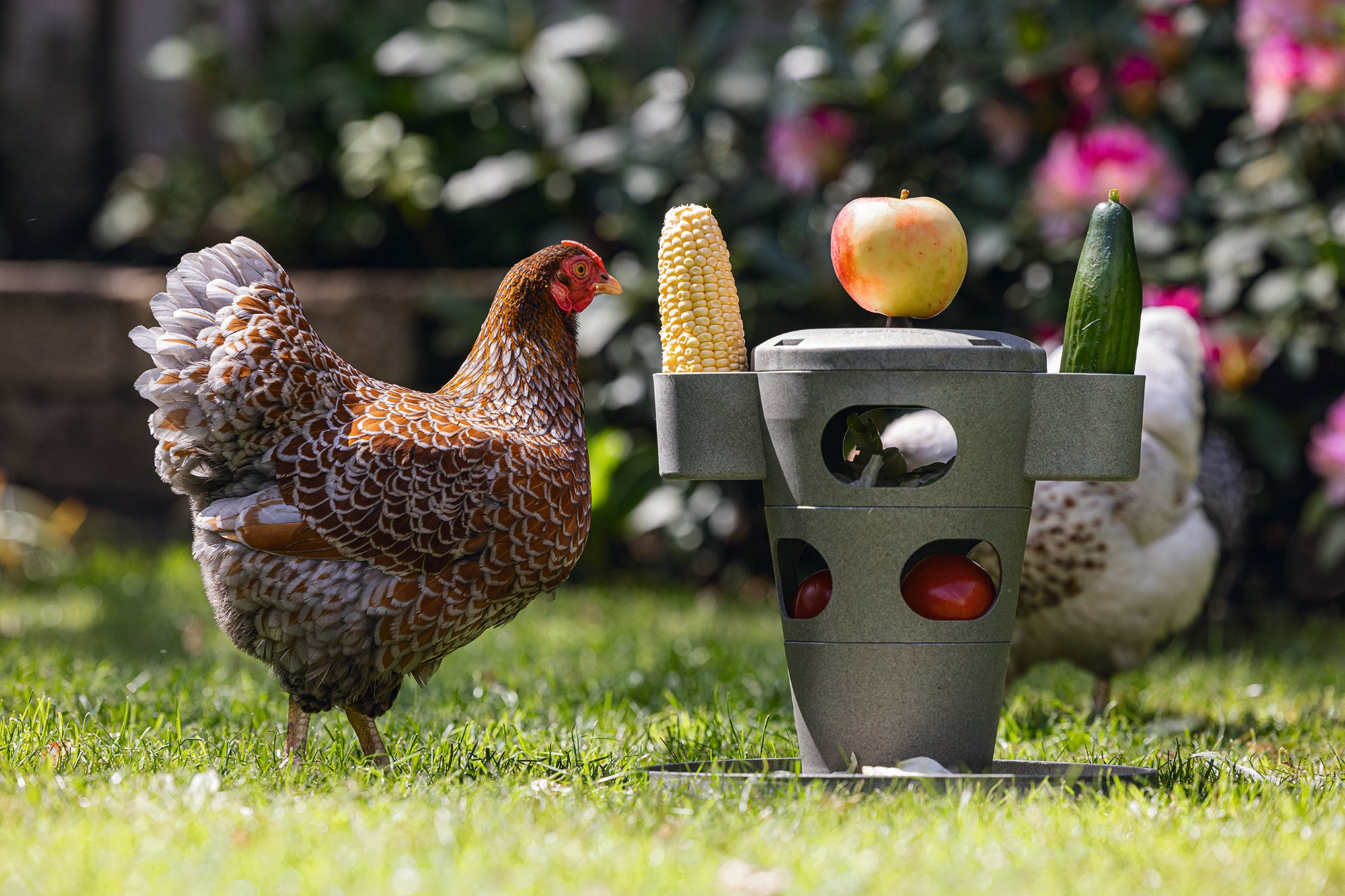 Chicken Feed Tower | Miller Manufacturing Company