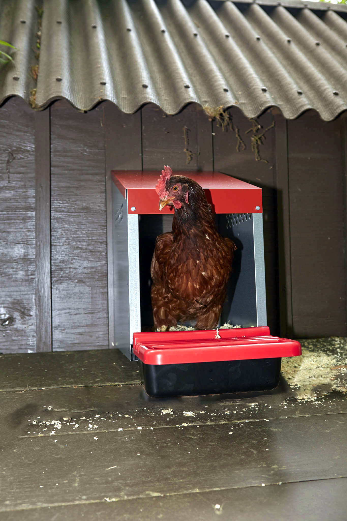 Double Galvanized Nesting Box with Plastic Basket | Miller ...