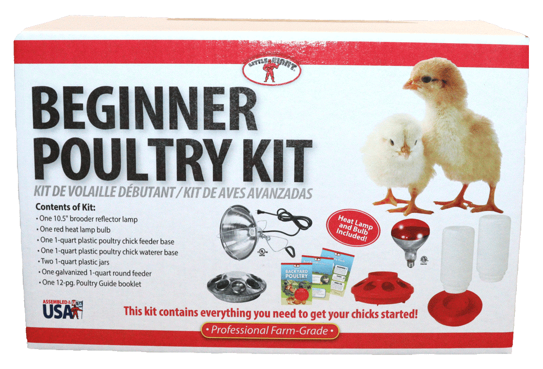 Little Giant® Beginner Poultry Kit | Miller Manufacturing Company
