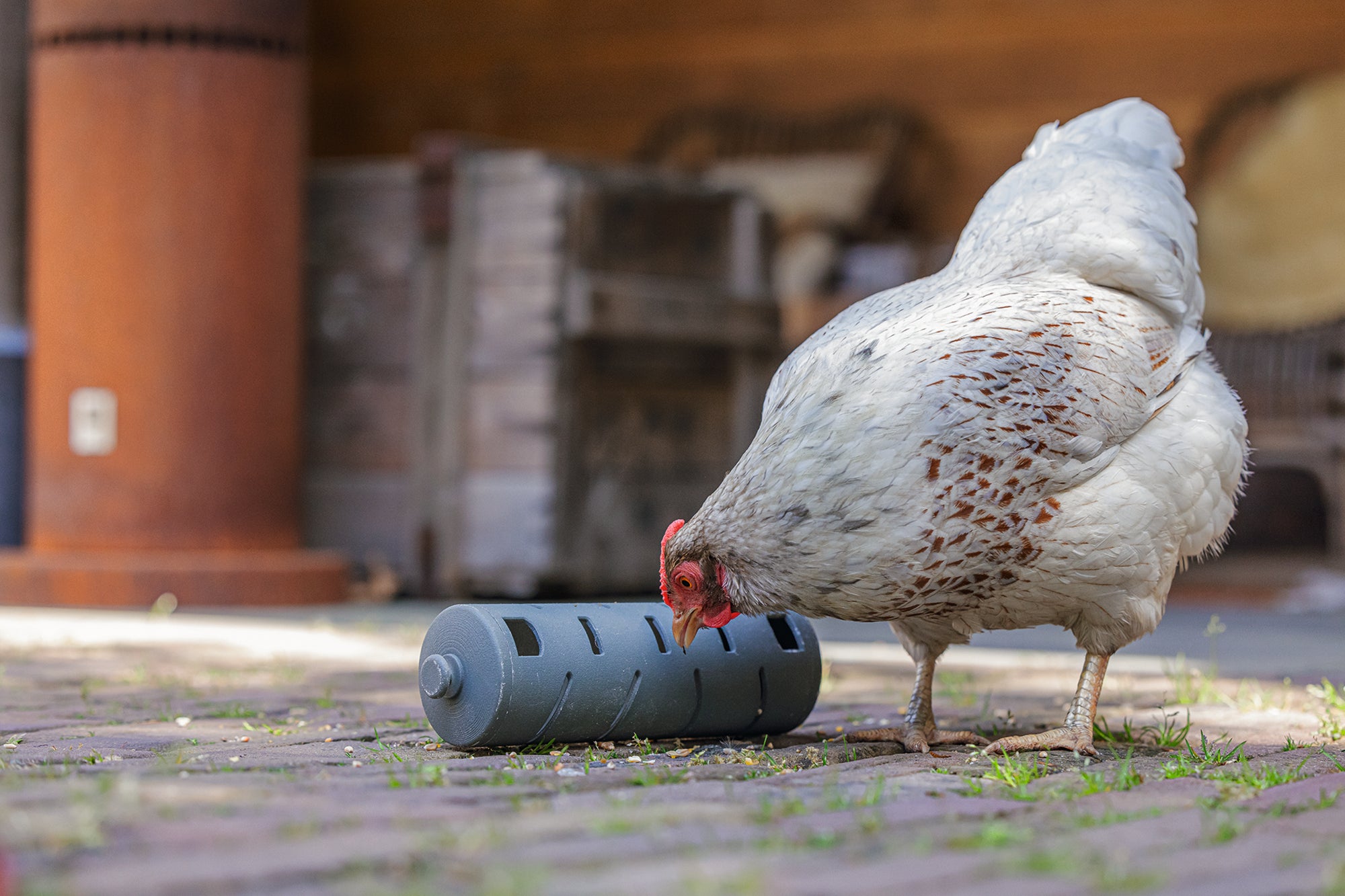 Chicken Snack Roller | Miller Manufacturing Company
