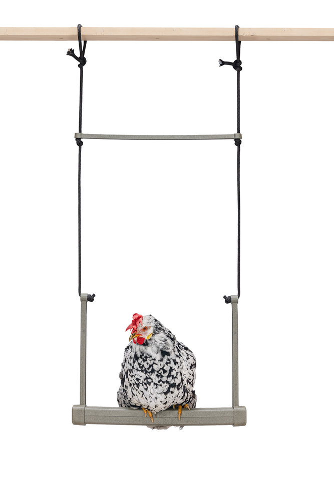 Little Giant, Chicken Swing